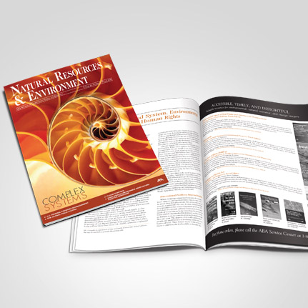 NRE: Complex Systems